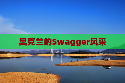 奥克兰的Swagger风采